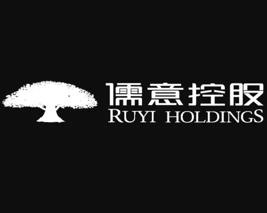 儒意控股有限公司