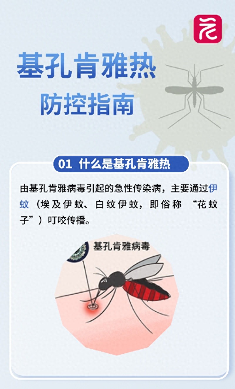 248825be9a8b4a43acc8b6c90a2a3630~tplv-tt-origin-web_gif.jpg
